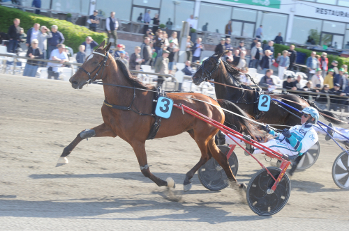 Gocciadoro: ”Kör för seger”