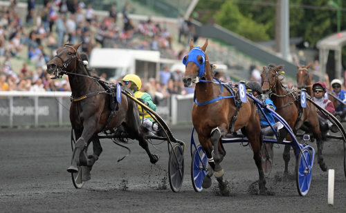 Vivid Wise As fick revansch