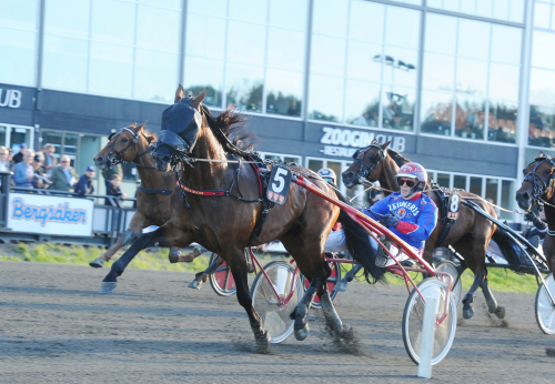 Goop ropade in dyringen