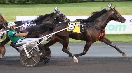 Obesegrad i två starter