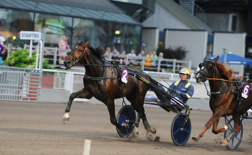 Following värd att följa