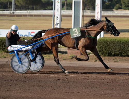 Segerryck med mersmak