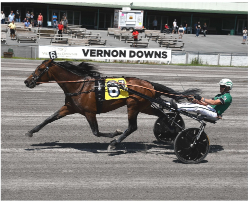 Storseger till Svanstedt