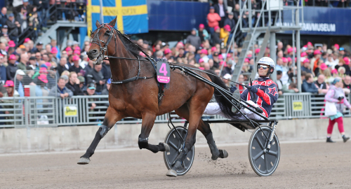 Elitloppshäst fyra i comeback