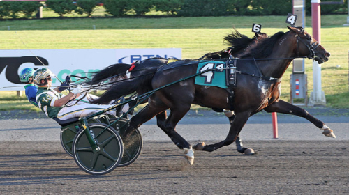 Ny topptid av Rattle My Cage