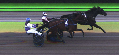 Finskt toppsto vann Tammachampion