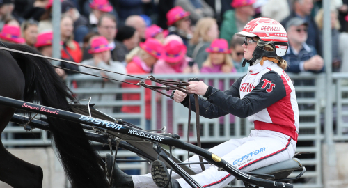 Satsas det på ”rätt ” häst?