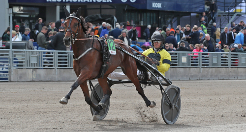 V75-tips: Påbörjar klassresan