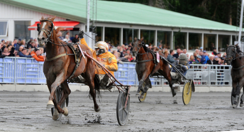 Gocciadoros stora show