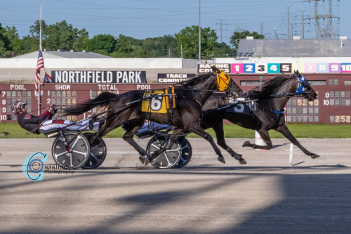 Tangerat världsrekord av valack