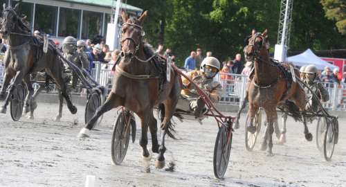 V75-tips: Gocciadoro sätter punkt