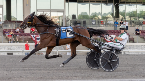 Jimmy Takter i segersits