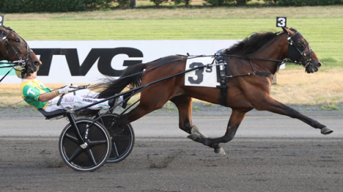 Andra raka för D’One-son