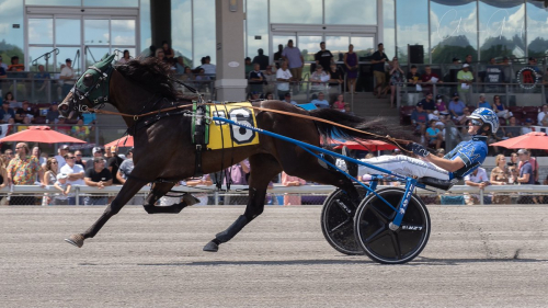 Överlägsen vinnare