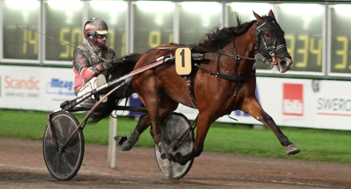 Treåringsstjärnan är död