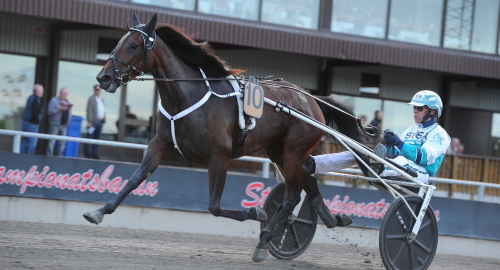 Inför V75: STL-finaler i skymundan