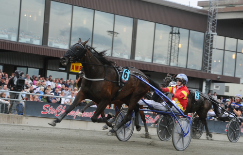 Startlistor: 39 lopp på Axevalla