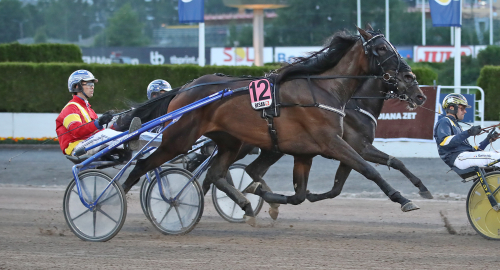 Svenska drottningar i Breeders Crown