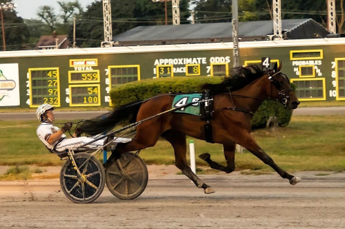 Lillasyster kan också!