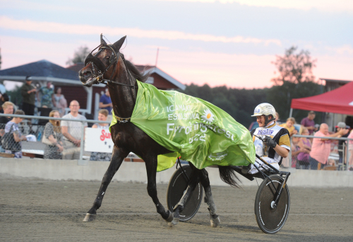 Inför V75: Derbyfinalist förgyller