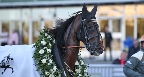 V75-tips: Miljonjakt med supersto