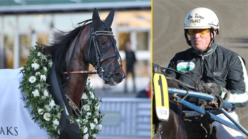 Stochampionatskval – och kungen av Hoting