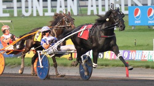 Lookslikeacpndale-sto i topp