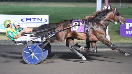 Svenskägd dyring i topp