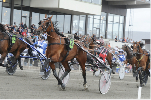 V75: Välkommen till avel