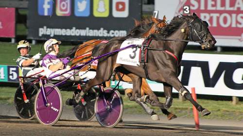 Fyra svenskar till Oaks-final