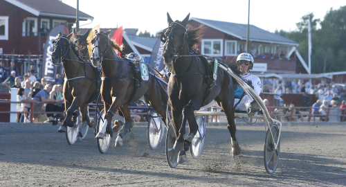 ”Två ihopsvetsade skor”