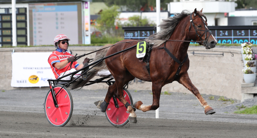 V86: Betäcker sig i form?