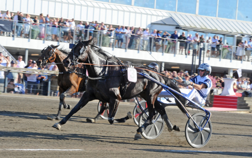 Italienska vann på världsrekord