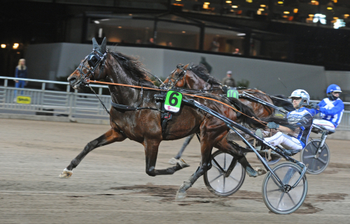 Fyraåringar mot kunglig glans