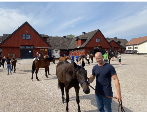 Rekordauktion – sålde för 54 miljoner!