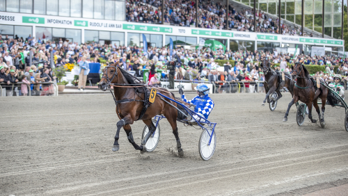 Danskt Travderby: ”Det största”