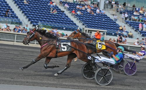 Rätt modell för seger