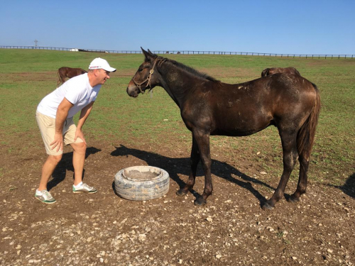 Visst fixar du det, grabben?