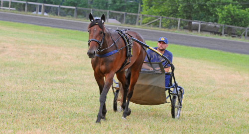 Tre chanser till seger
