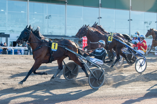 Derbystoet: Fällde Stochampionatsvinnaren