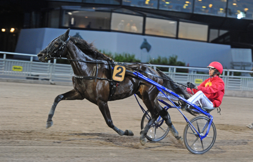 Wäjersten har valt häst