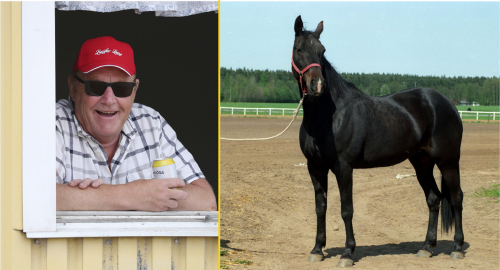 Robertssons baby i toppslag