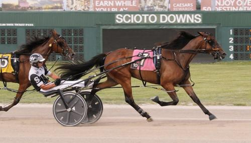 Svenskfödd pappa i topp