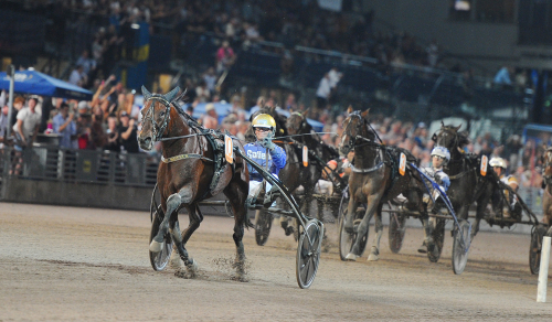 San Moteurs pappa i topp