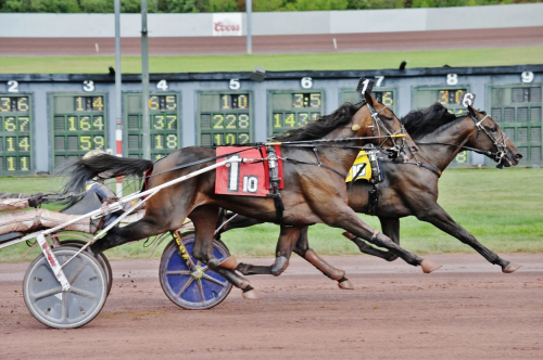 Dubbelt Nuncio i USA