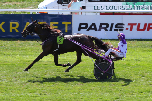 Världens största grässeger