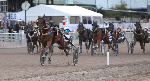 V75-tips: Dubbel revanschjakt