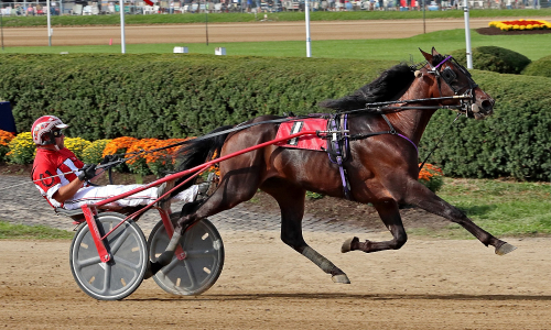 Världsrekord i Delaware