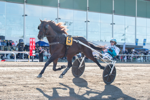 Semifinalerna klara!