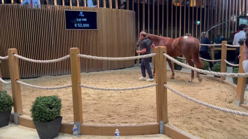 Ett svenskköp i Deauville